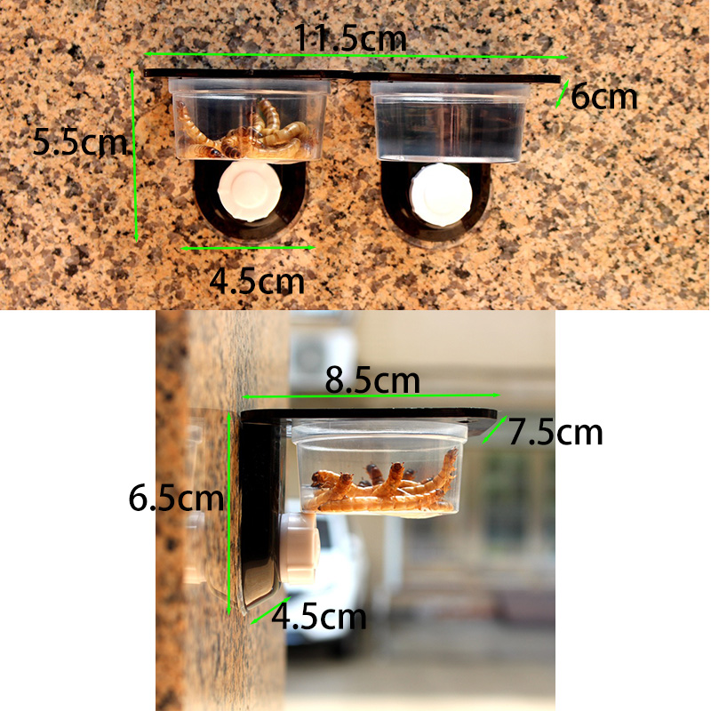 Reptile Tank Accessories Insec - Water Dish Reptile recensione e prezzo