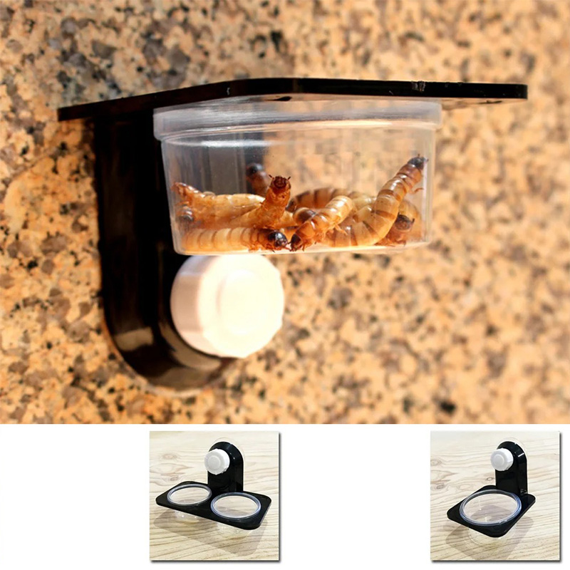 Reptile Tank Accessories Insec - Water Dish Reptile recensione e prezzo