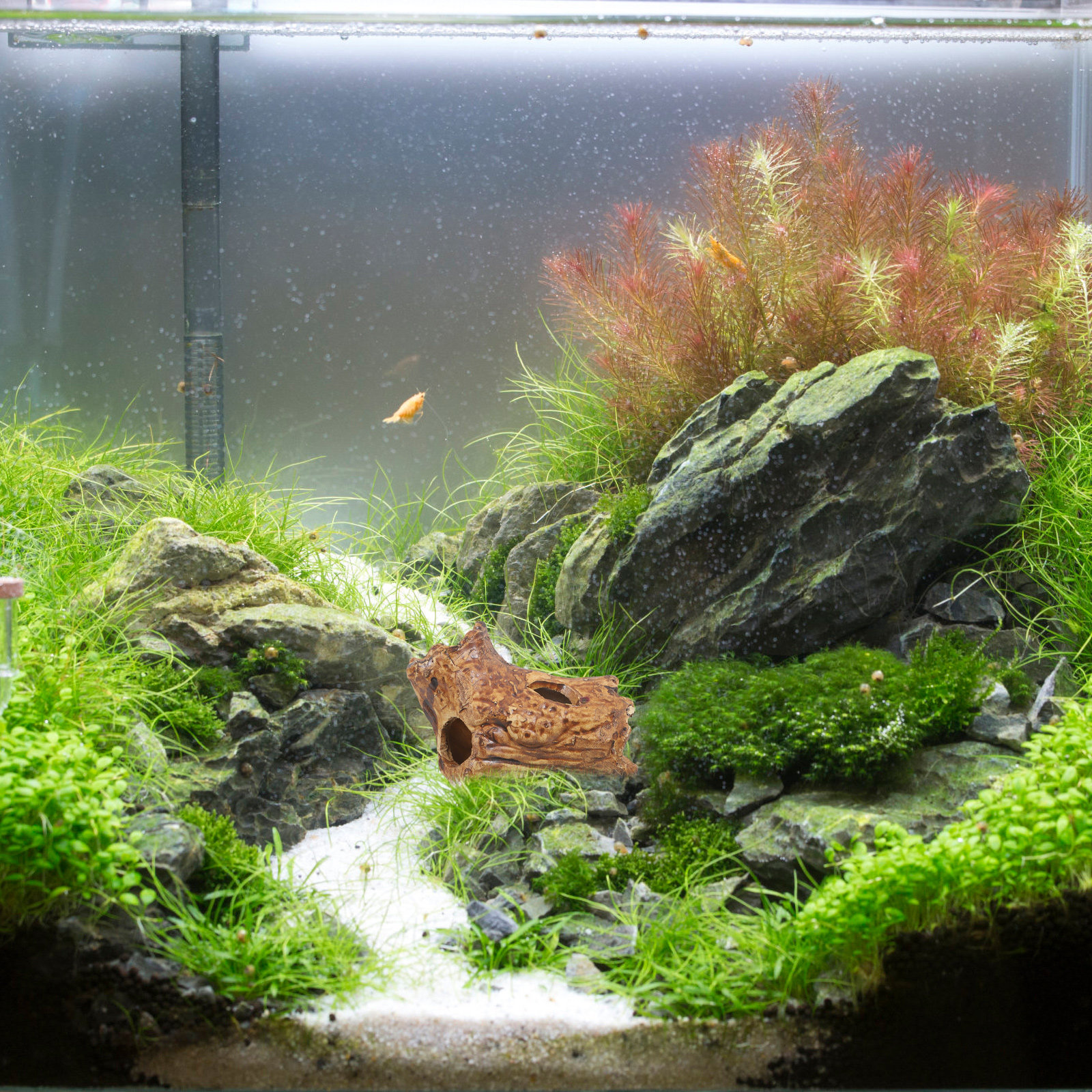 Premium Ceramic Aquarium Hides - Hide Cave Ceramic recensione e prezzo