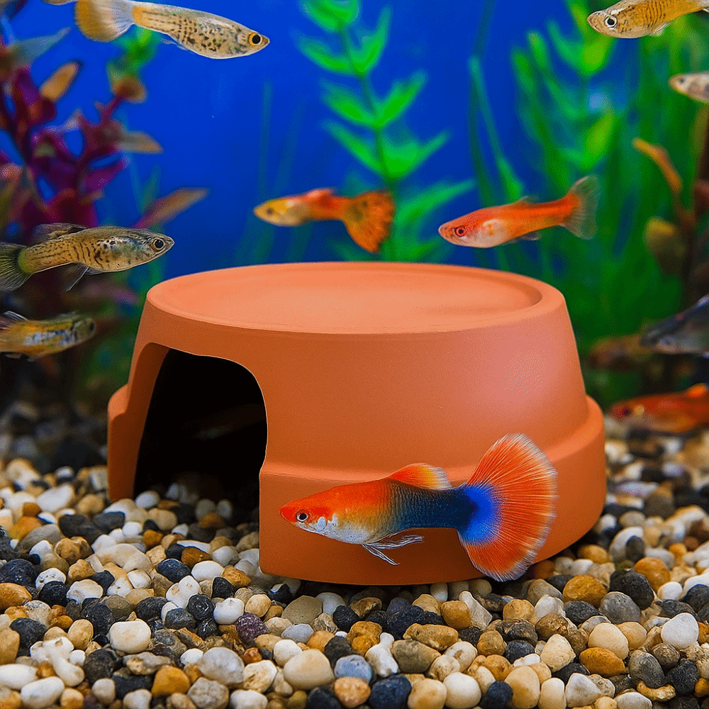 Multifunctional Ceramics Repti - Hide Cave Ceramic recensione e prezzo