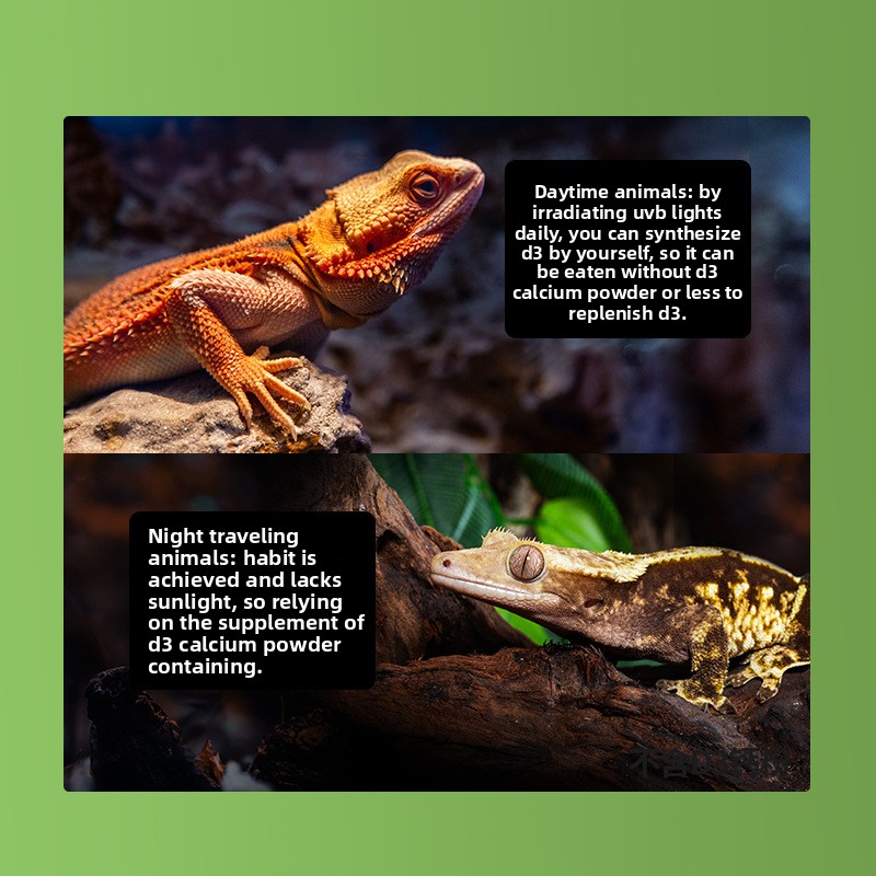 Reptizoo Reptile Calcium Powde - Calcium Powder Reptile recensione e prezzo