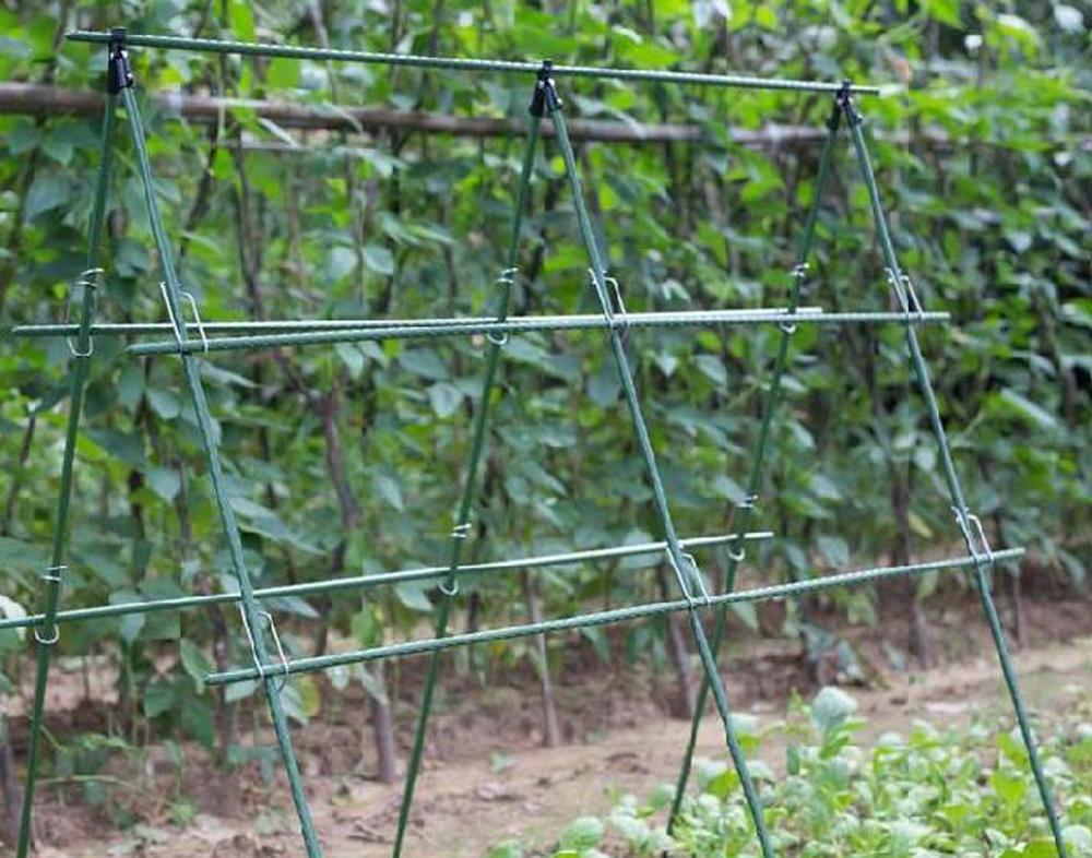 Diameter 8/11/16mm Plant Suppo - Vine Climbing Plastic recensione e prezzo