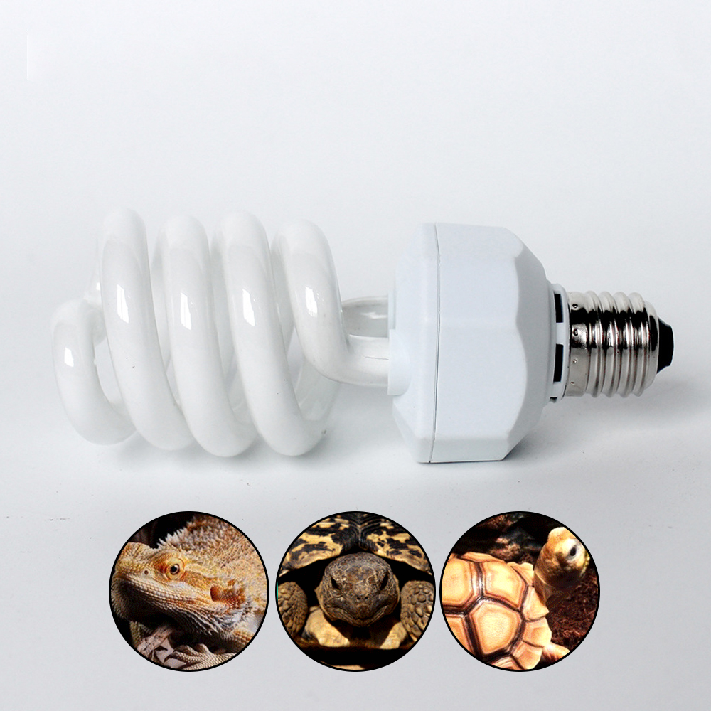 UVB 26w Desert Reptile Light E - Calcium Powder Reptile recensione e prezzo
