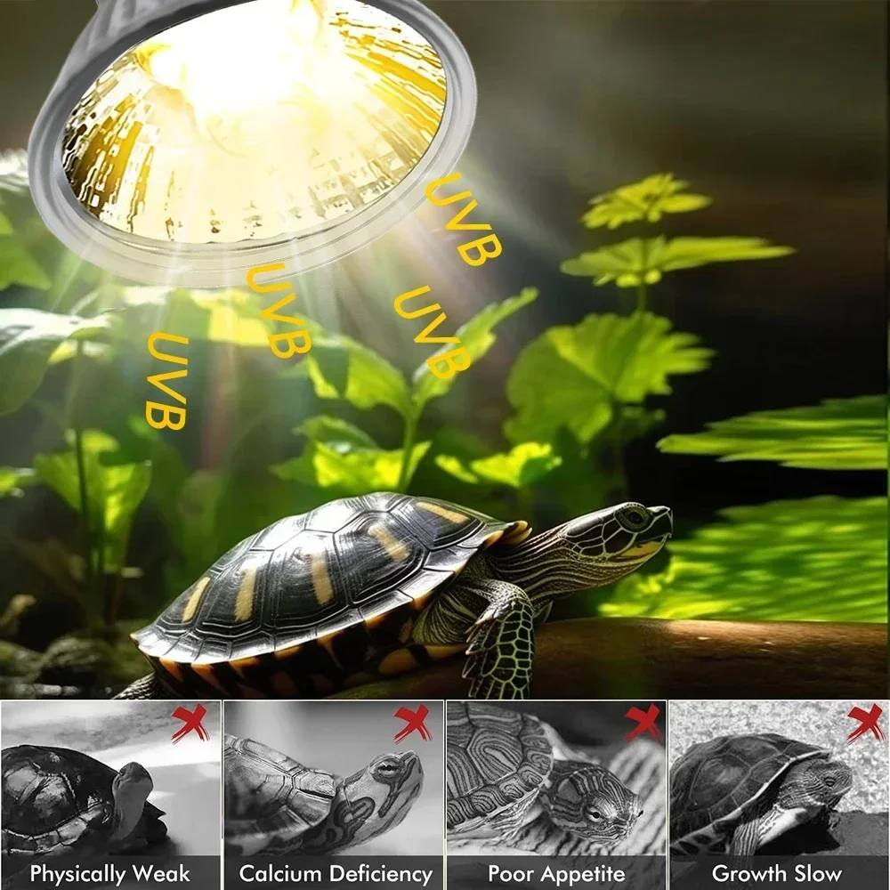 75/50/25W Tortoise Lizard Bask - Calcium Powder Reptile recensione e prezzo