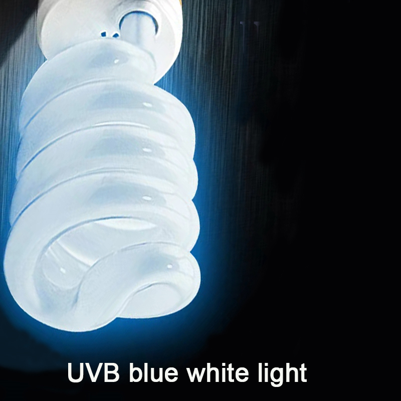 E27 13W/26W Reptile Uvb Lamp   - Calcium Powder Reptile recensione e prezzo