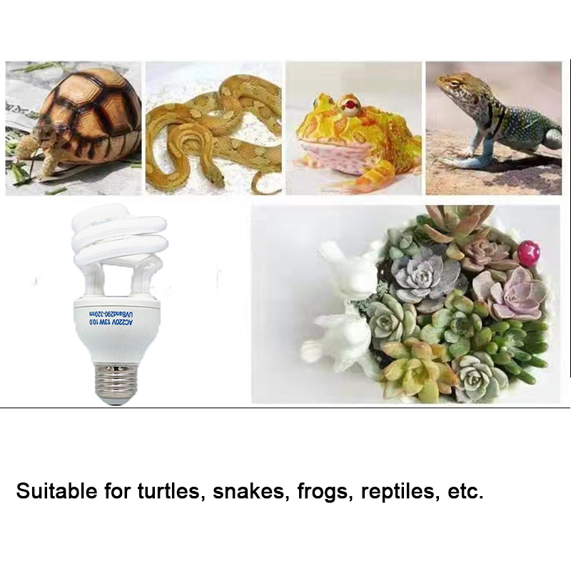 E27 13W/26W Reptile Uvb Lamp   - Calcium Powder Reptile recensione e prezzo