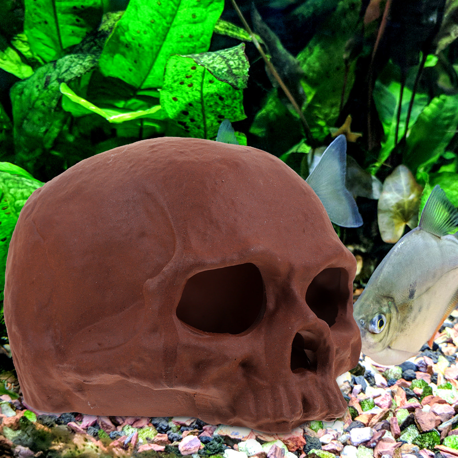 Ceramic Fish Cave Shrimp Hide  - Hide Cave Ceramic recensione e prezzo