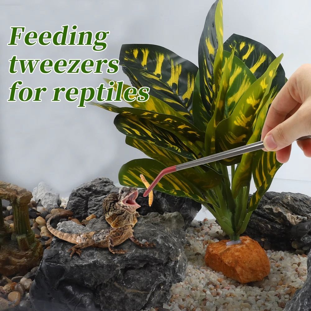 Stainless Steel Aquarium Feedi - Feeding Tong Stainless recensione e prezzo