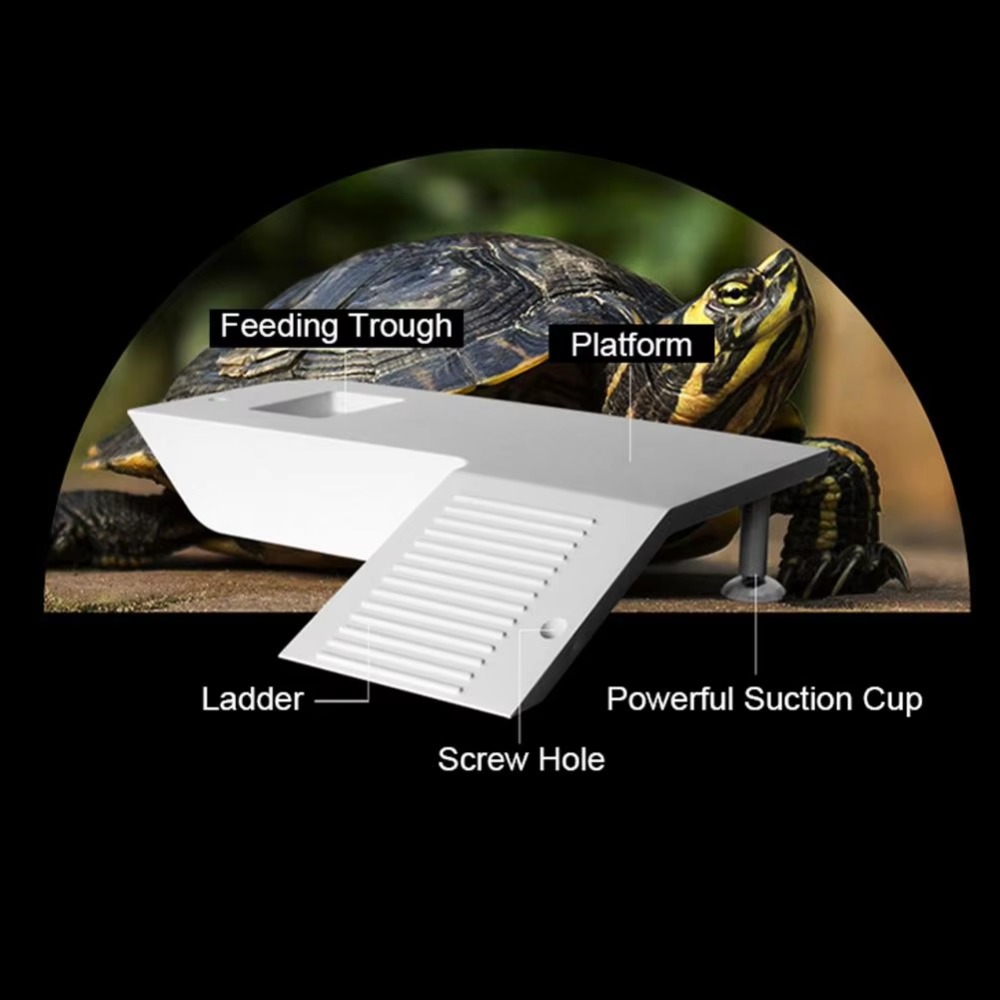 Water Land Slope Box Feeding C - Water Dish Reptile recensione e prezzo