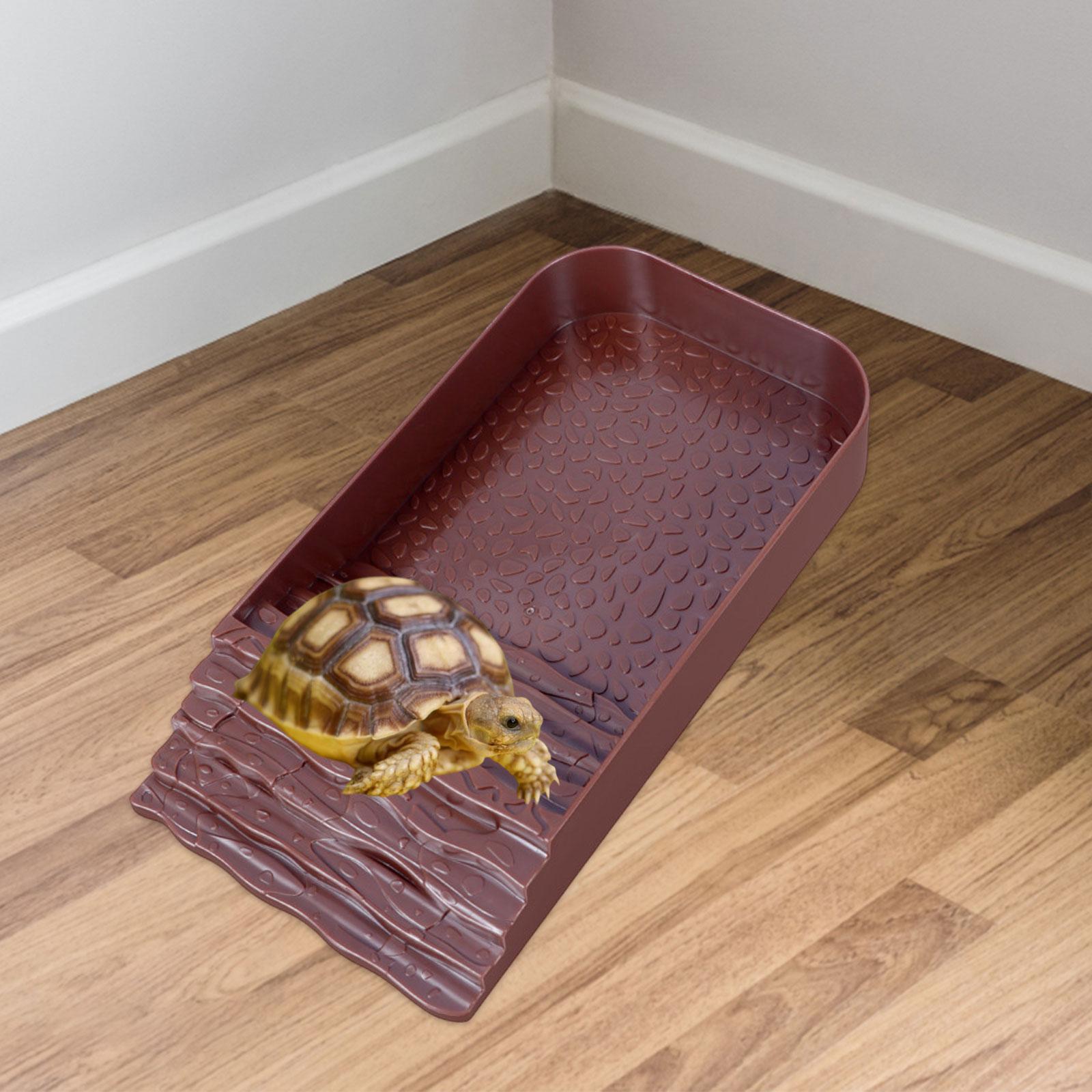 Reptile Water Bowl Accessories - Water Dish Reptile recensione e prezzo