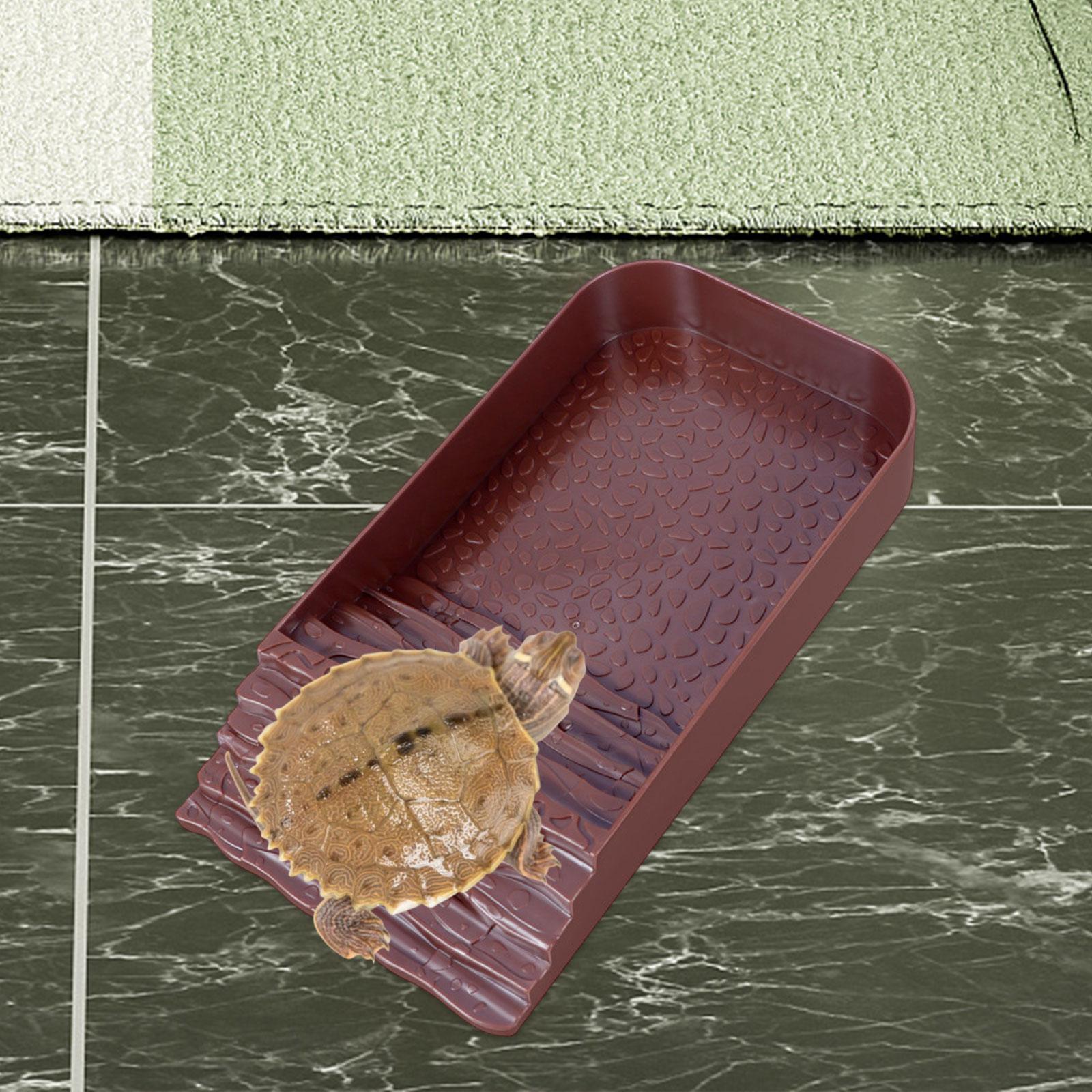 Reptile Water Bowl Accessories - Water Dish Reptile recensione e prezzo