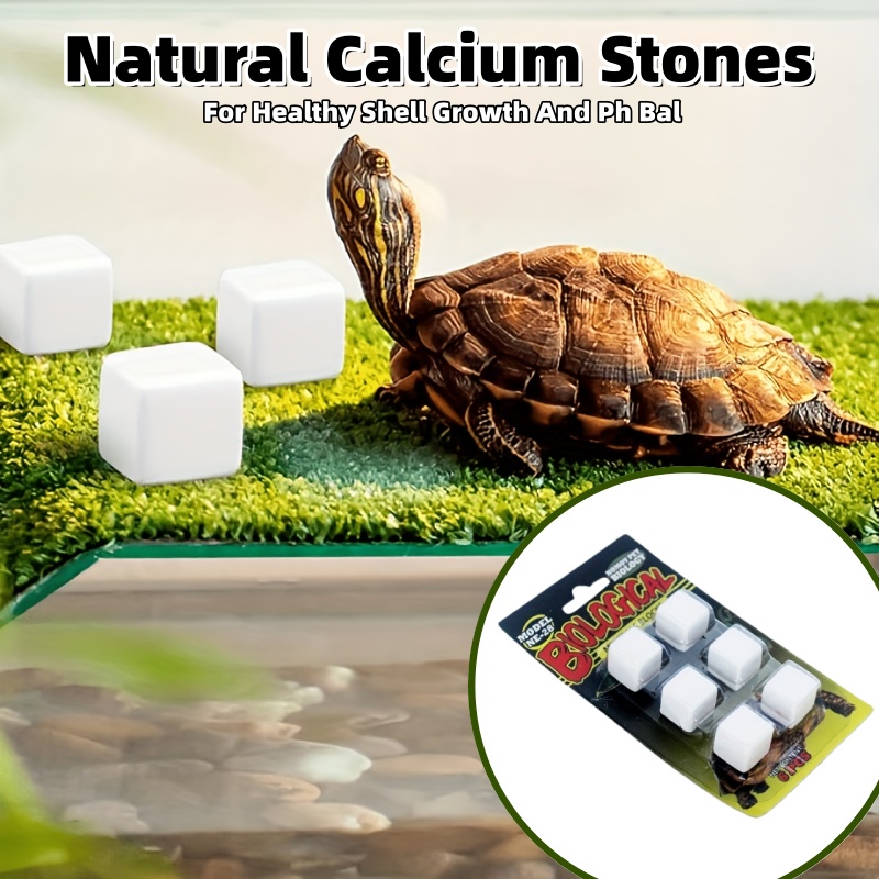 6 Pcs Fish Tank Calcium Block  - Calcium Powder Reptile recensione e prezzo