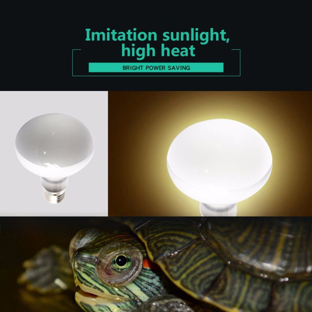 Amphibians Heat Lamp Temperatu - Basking Bulb Halogen recensione e prezzo