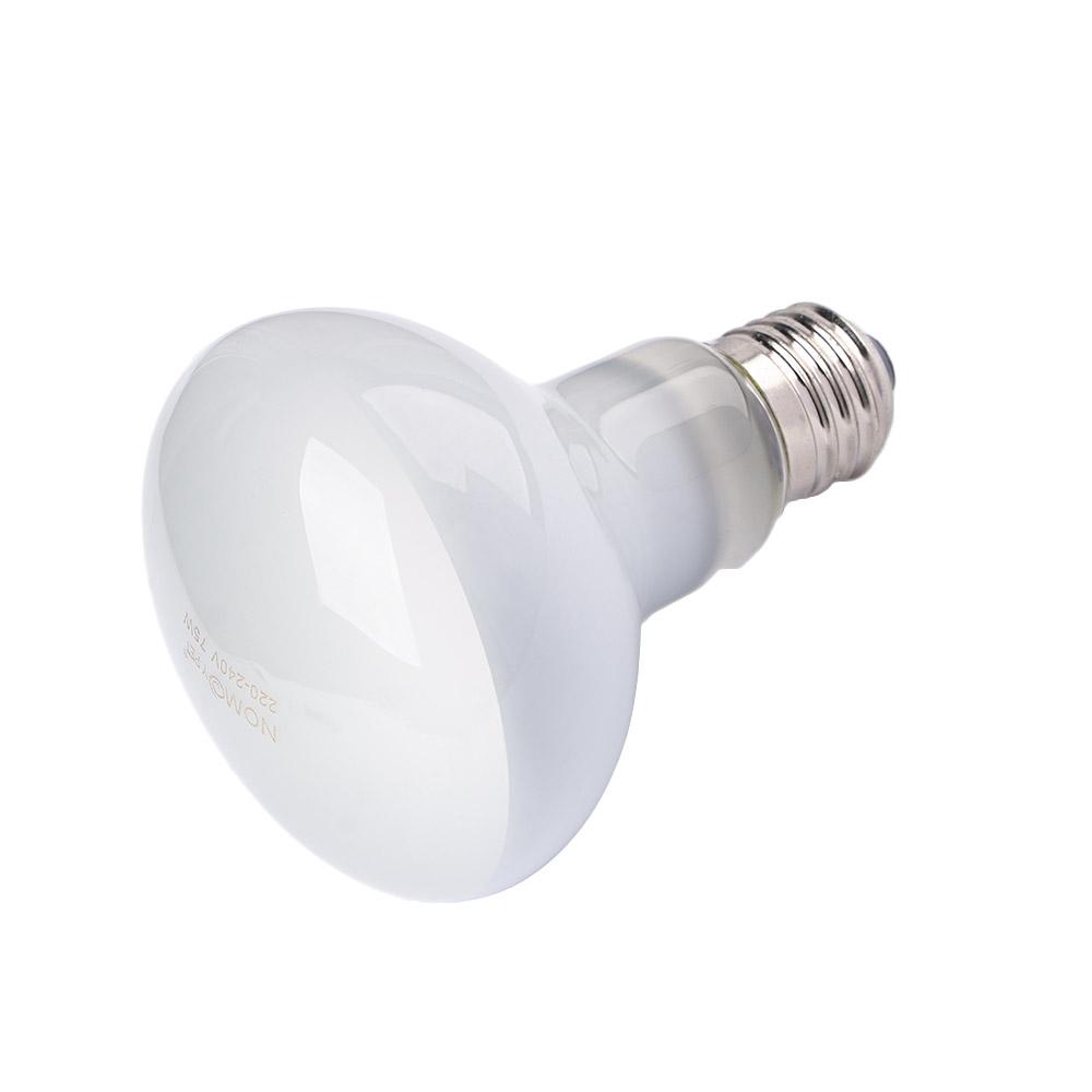Amphibians Heat Lamp Temperatu - Basking Bulb Halogen recensione e prezzo