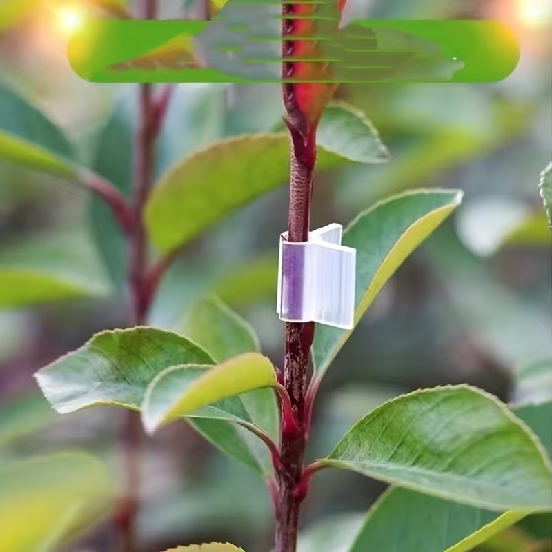 50pcs Agriculture Grafting Cli - Vine Climbing Plastic recensione e prezzo