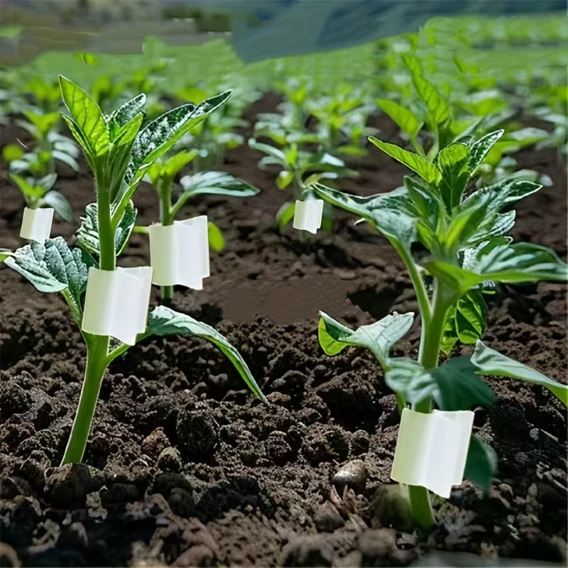50pcs Agriculture Grafting Cli - Vine Climbing Plastic recensione e prezzo