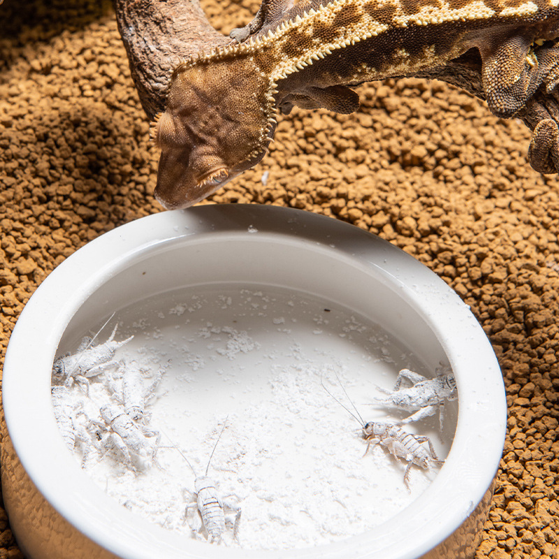 SuperRep Reptile Calcium Pro-V - Vitamin D3 Reptile recensione e prezzo
