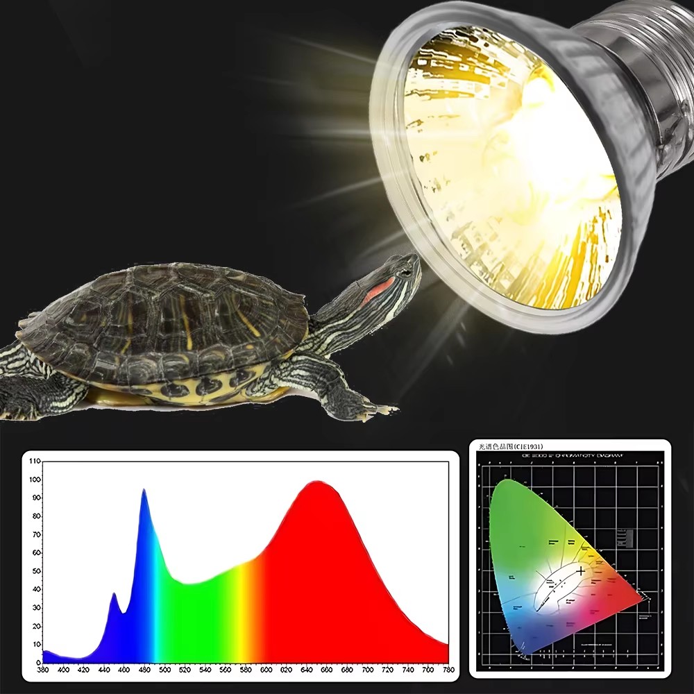 25W/75W/100W Full Spectrum UVA - Calcium Powder Reptile recensione e prezzo