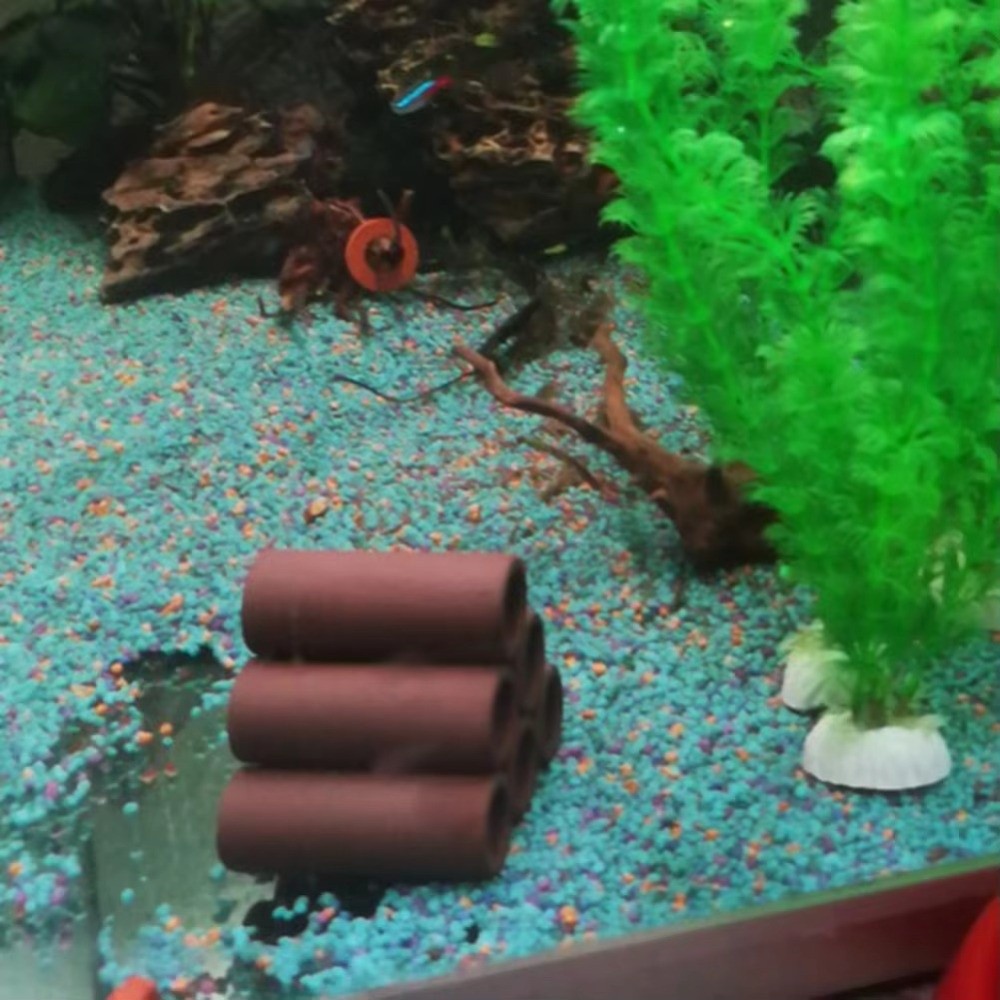 Playing Breeding Spawning Aqua - Hide Cave Ceramic recensione e prezzo