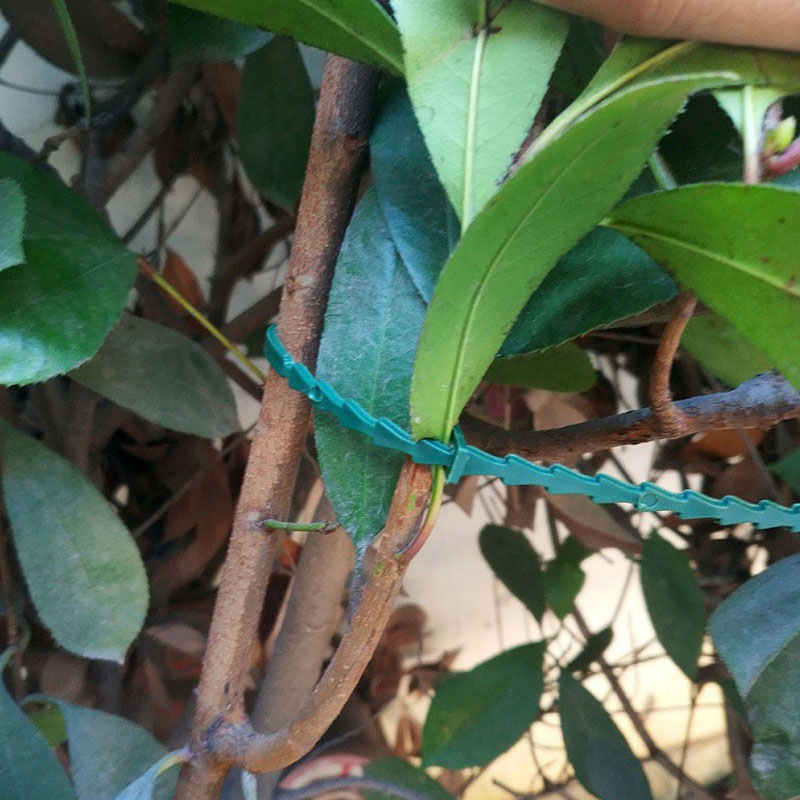 13cm Adjustable Plastic Plant  - Vine Climbing Plastic recensione e prezzo