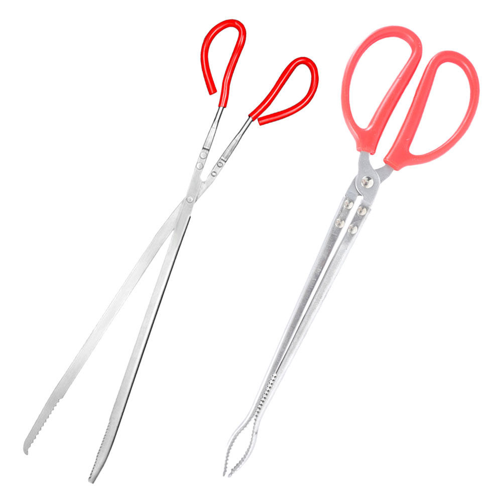 2Pcs Stainless Steel Snake Ton - Feeding Tong Stainless recensione e prezzo