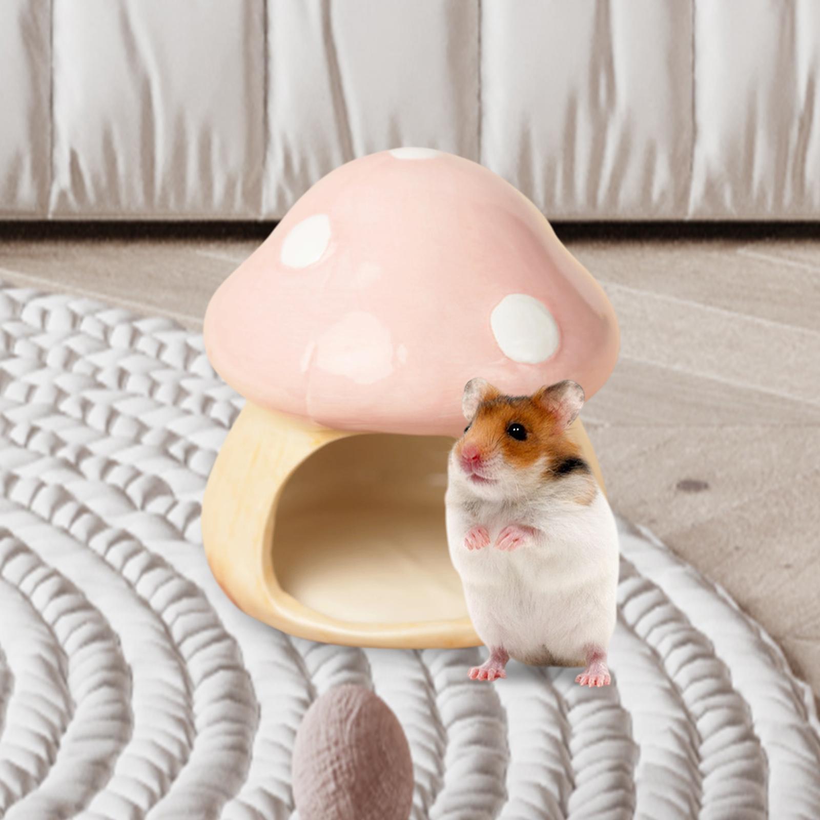 Ceramic Mushroom Hamster Hideo - Hide Cave Ceramic recensione e prezzo