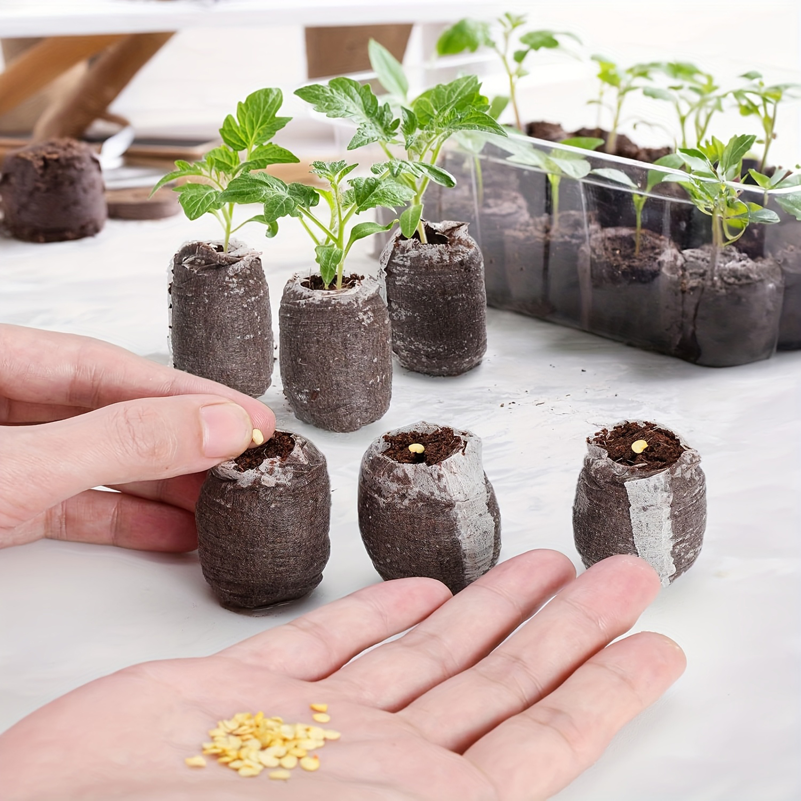 10/20/50pcs Plant Growth Bags  - Substrate Coconut Fiber recensione e prezzo