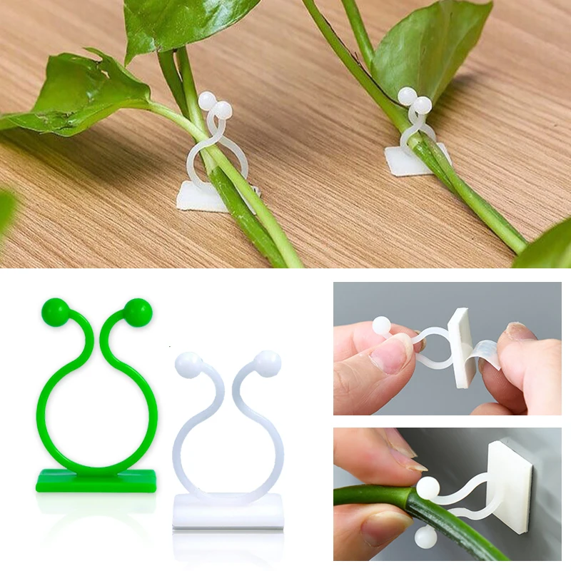 Plant Climbing Wall Self-Adhes - Vine Climbing Plastic recensione e prezzo