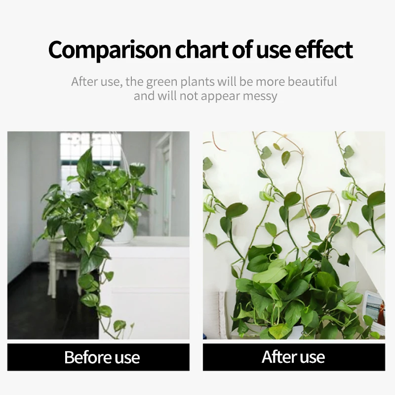 Plant Climbing Wall Self-Adhes - Vine Climbing Plastic recensione e prezzo