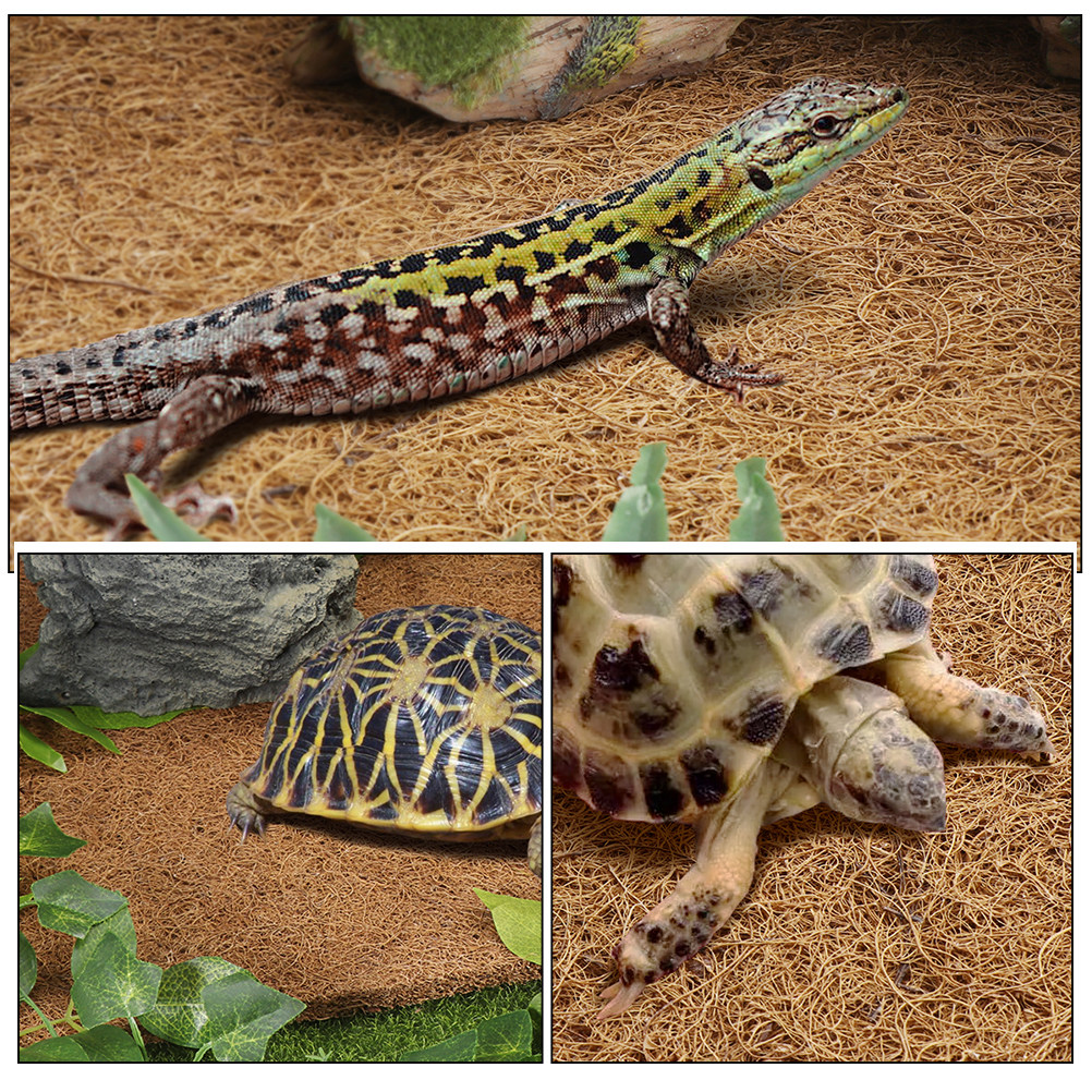 Reptile Terrarium Carpet Natur - Substrate Coconut Fiber recensione e prezzo
